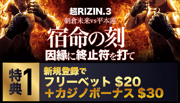 超RIZIN3プロモーション1